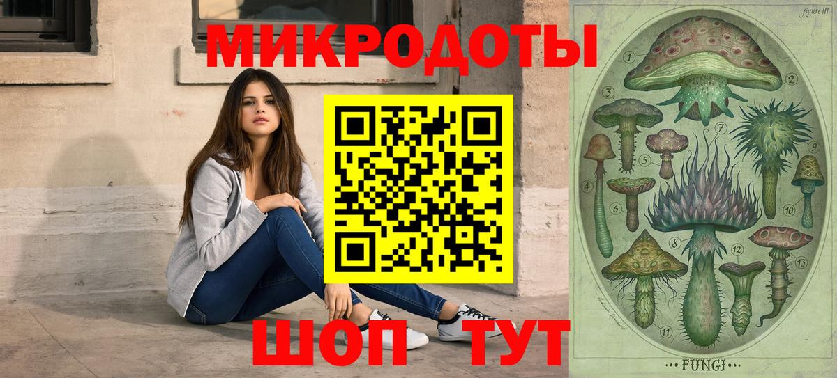 Галлюциногенные грибы Psilocybe  Вход с VPN  Кстово 